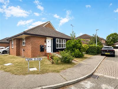 Picture 20